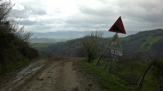 Torriana