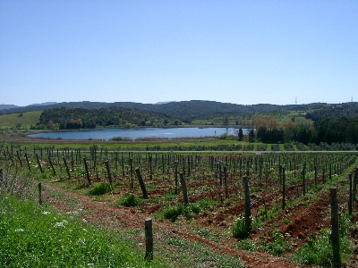 Lago della Accesa
